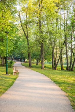 Uzağa uzanan beton bir yol olgun ağaçlar ve canlı yeşil otlarla kaplıdır. Bu park sahnesinde yolun kenarında bir sokak lambasının altında bir bank oturuyor..