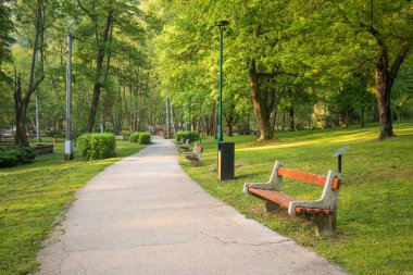 Patikası, bankları ve yemyeşil yemyeşil olan sakin bir park sahnesi. Rahatlamak ve doğanın güzelliğinin tadını çıkarmak için mükemmel. Huzurlu açık hava.