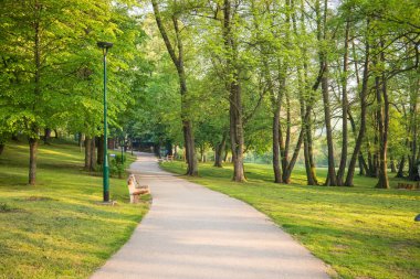 Dolambaçlı bir yol, canlı yeşil ağaçlar ve batan güneşin yumuşak ışığında güneşlenen iyi korunmuş otlar gösteren sakin bir park manzarası..