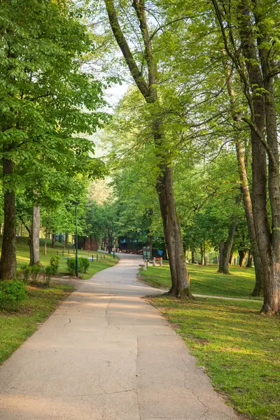 Beton bir patika yeşil bir parkın içinden bir binaya doğru uzun ağaçlarla esiyor. Güneş yaprakların arasından süzülüp benekli gölgeler yaratır..