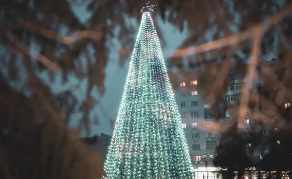 Doğu Ukrayna 'da bir taşra kasabasında Noel ağacı