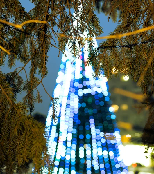 Doğu Ukrayna 'da bir taşra kasabasında Noel ağacı