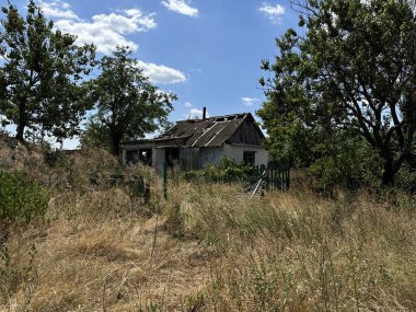 Ukrayna 'daki savaş sırasında bombalanan küçük kır evi - yabani otların çalıları