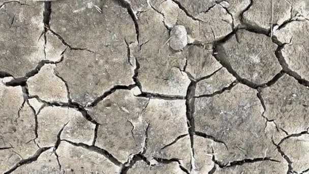 Cracked Ground Drought Tragedy Lack Water Riverbed — Stockvideo