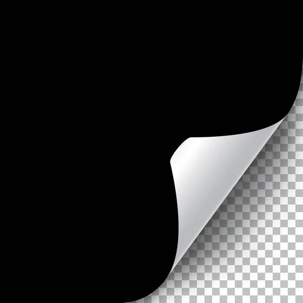 Curly Page Esquina Ilustración Realista Con Sombra Transparente Listo Para — Vector de stock
