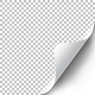 Kıvırcık Sayfa Köşesi, şeffaf gölgeli gerçekçi illüstrasyon. Tasarımına başvurmaya hazırım. Belgeler, şablonlar, posterler, el ilanları için grafik ögesi. Vektör illüstrasyonu.
