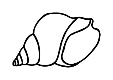 Deniz kabuğu eli ince çizgi şeklinde çizilmiş. Vektör illüstrasyonu beyaz arkaplanda izole edildi