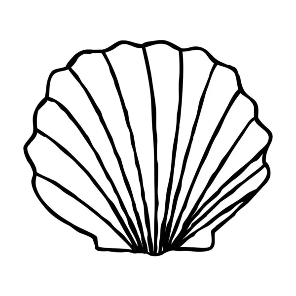 stock vector Sea shell hand drawn in thin line style. Vector illustration isolated on white background