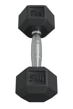 5 kg Dumbbell, halter spor aleti, beyaz arka planda izole edilmiş. 3B illüstrasyon