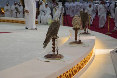Katara Uluslararası Avcılık ve Şahinler Sergisi 2024 'te Şahin Katar 