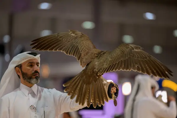 Katara Internationa 'nın 8. baskısı sırasında bir şahin taşıyan bir adam.