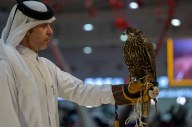 Doha, Katar 12 Eylül 2024: Katara Uluslararası Avcılık ve Şahinler Fuarı 2024 Katara Kültür Köyü 'nde bir şahin.