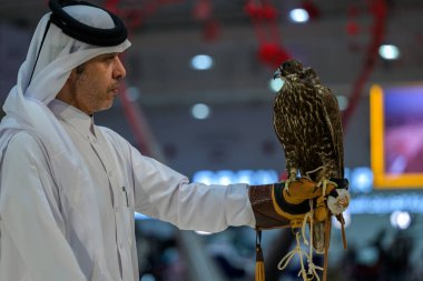 Doha, Katar 12 Eylül 2024: Katara Uluslararası Avcılık ve Şahinler Fuarı 2024 Katara Kültür Köyü 'nde bir şahin.