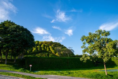 Katara Katarı: yeşil ağaçlar ve bulutlu mavi gökyüzü