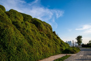 Parkın güzel manzarası
