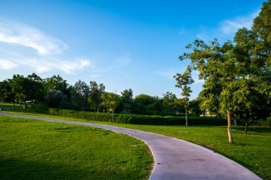 Doha Katar yeşil çimenli güzel bir park.