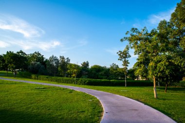 Doha Katar yeşil çimenli güzel bir park.