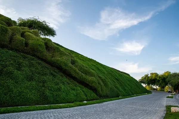 Doha, Katar - 17 Aralık. 2021. Katara Yeşil Tepeleri - Katar 'da park.