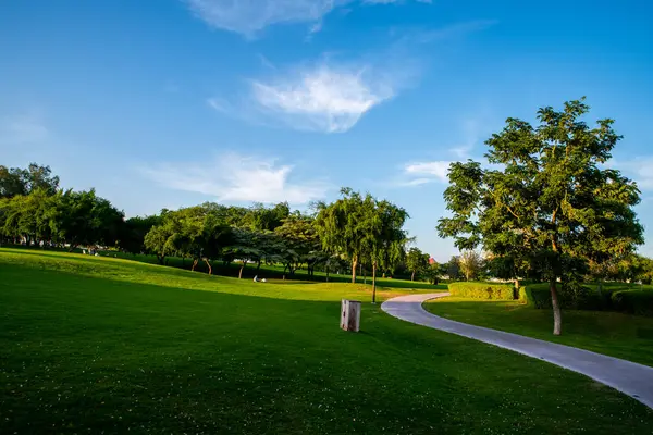 Doha, Katar - 17 Aralık. 2021. Katara Yeşil Tepeleri - Katar 'da park.