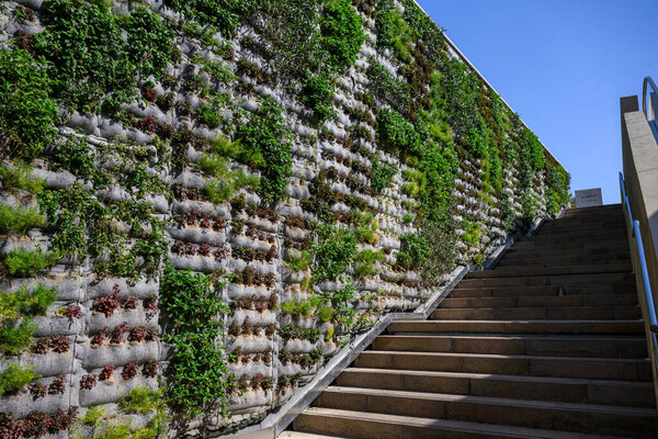 green plants in the garden
