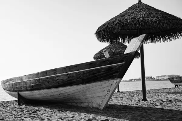 Doha, Katar: 8 Mart 2024: Eski bir Bo 'nun siyah-beyaz fotoğrafı