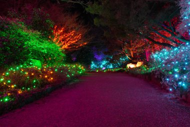 Path Through the Christmas Lights at Lewis Ginter Botanical Gardens in Richmond Virginia