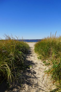 Trail through the seagrass to the beach on a sunny day