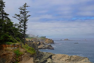 Shore Acres State Park 'ın dramatik Oregon sahili manzarası