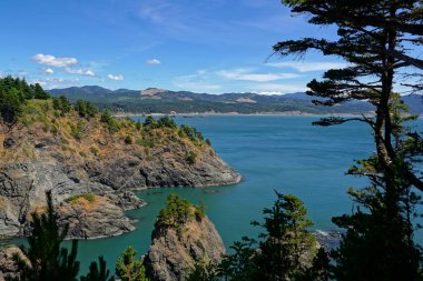 Oregon Sahili Port Orford Heads Eyalet Parkı 'ndan