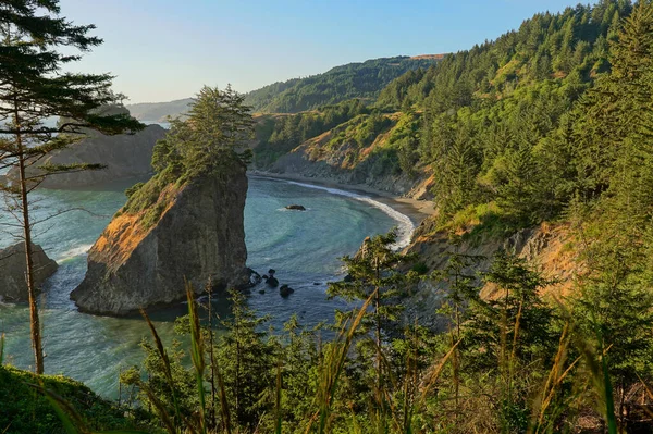 Samuel Boardman Sahne Koridorundaki Arch Rock 'tan Oregon Sahili manzarası
