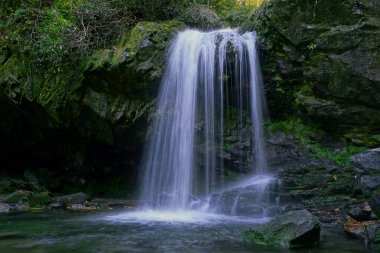 Grotto Falls 'un Tennessee' deki Great Smoky Mountain Ulusal Parkı 'ndaki film bulanık.