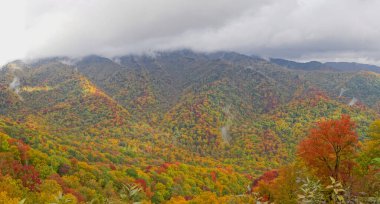 Great Smoky Dağları Ulusal Parkı 'ndaki yamaçlarda bulutların altında sonbahar renkleri