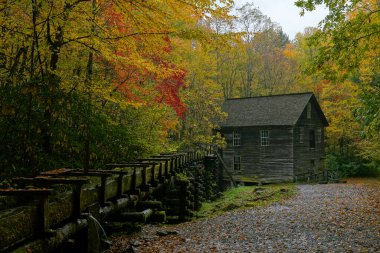 Sonbaharda Kuzey Carolina 'daki Great Smoky Dağları Ulusal Parkı' ndaki Tarihi Mingus Değirmeni