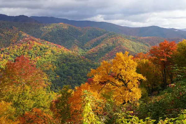 Vibrant Fall Colors Mountains Great Smoky Mountains National Park — Stock Photo, Image