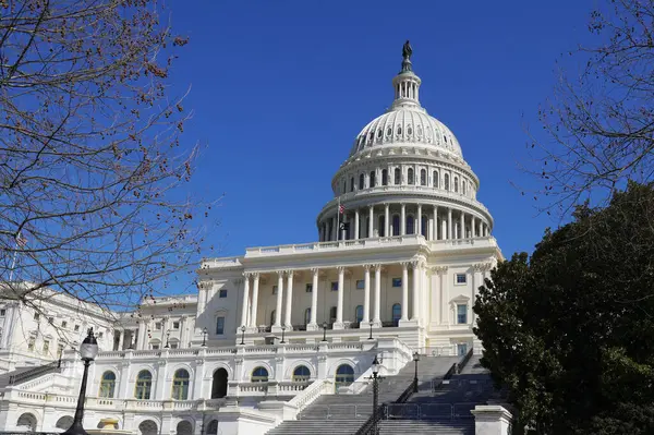 Washington 'daki ABD Kongre Binası mavi gökyüzünün altında