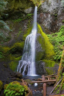 Motion-blurred water of Marymere Falls in Olympic National Park in Washington clipart