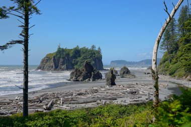 Washington kıyıları Olimpiyat Ulusal Parkı 'ndaki Ruby Beach' te.