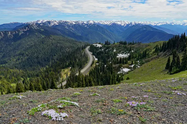 stock image Road leading up to Hurricane Ridge in Olympic National Park in Washington