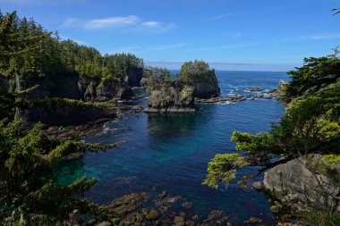 Washington 'daki Cape Pohpohlama' nın engebeli kıyı şeridi