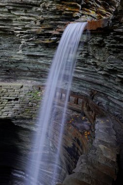 New York 'taki Watkins Glen Eyalet Parkı' nın arkasında bir patika var.