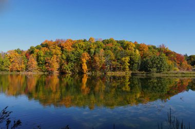 Fall Color Reflecting in Beebe Lake on Cornells Campus in Ithaca, New York clipart