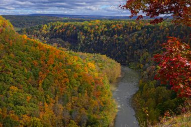 Genesee Nehri New York 'taki Letchworth Eyalet Parkı' nda sonbahar renkleriyle çevrilidir.