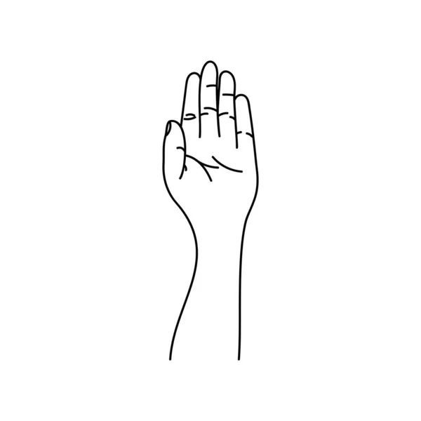 Art Linéaire Des Mains Signes Gestes Humains Illustrations Vectorielles Isolées — Image vectorielle