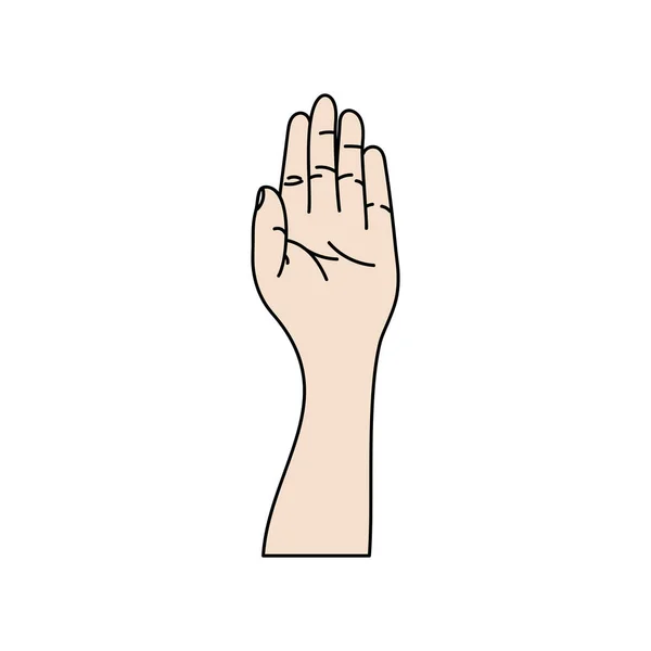 Illustration Menschlicher Hände Zeichen Und Gesten Isolierter Vektor Auf Weißem — Stockvektor