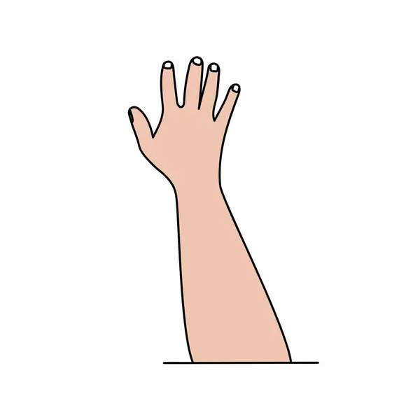 Illustration Des Mains Signes Gestes Humains Vecteur Isolé Sur Fond — Image vectorielle