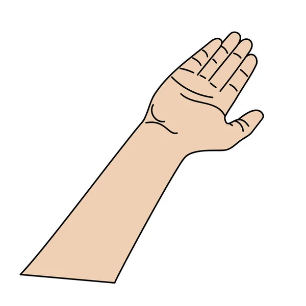 Иллюстрация Человеческих Рук Знаков Жестов Изолированный Вектор Белом Фоне — стоковый вектор