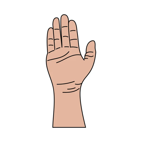Ілюстрація Людських Рук Знаків Жестів Ізольований Вектор Білому Тлі — стоковий вектор