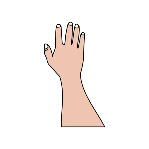 Ilustracja Ludzkich Rąk Znaków Gestów Wyizolowany Wektor Białym Tle — Wektor stockowy