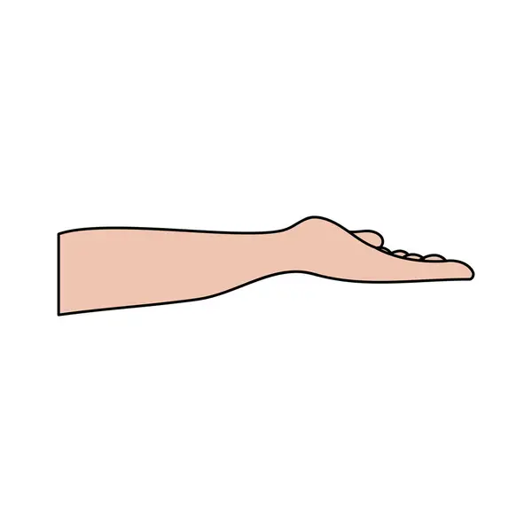 Ілюстрація Людських Рук Знаків Жестів Ізольований Вектор Білому Тлі — стоковий вектор