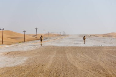 Birleşik Arap Emirlikleri 'nde Abu Dabi Al Qua çölünde iki deve. Fotoğraf ayrıca kum tepelerini de gösteriyor ve kameraman kum tepelerinde yürüyor..